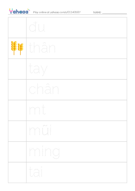 Picture and word rows worksheet for Cơ thể