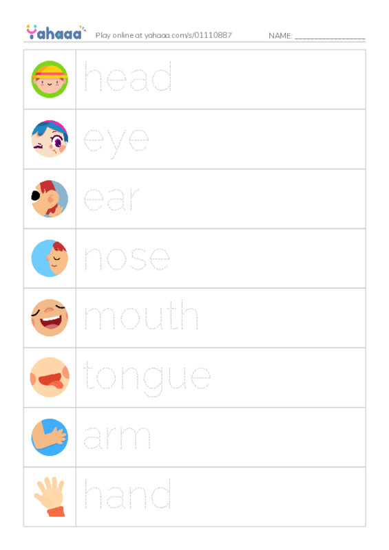 Picture and word rows worksheet for head, eye, ear and 9 more