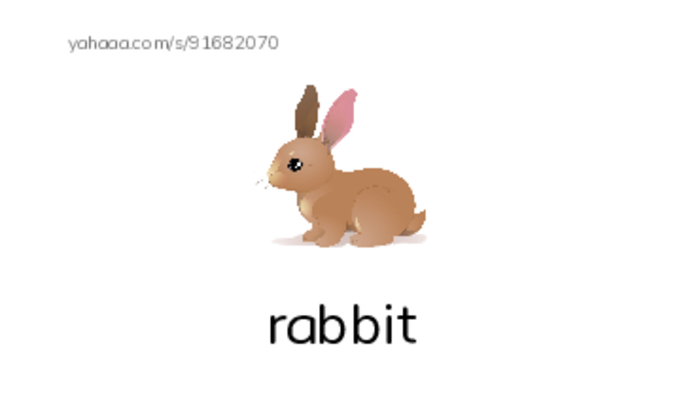 Index cards with pictures worksheet for Grade 1 Unit 4 lesson 3