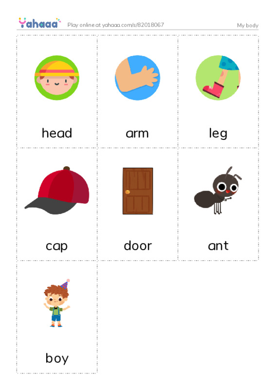Picture flashcards worksheet for My body