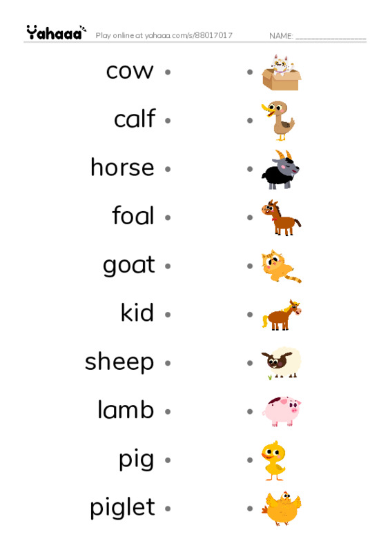 Draw a line to match worksheet for ANIMALS