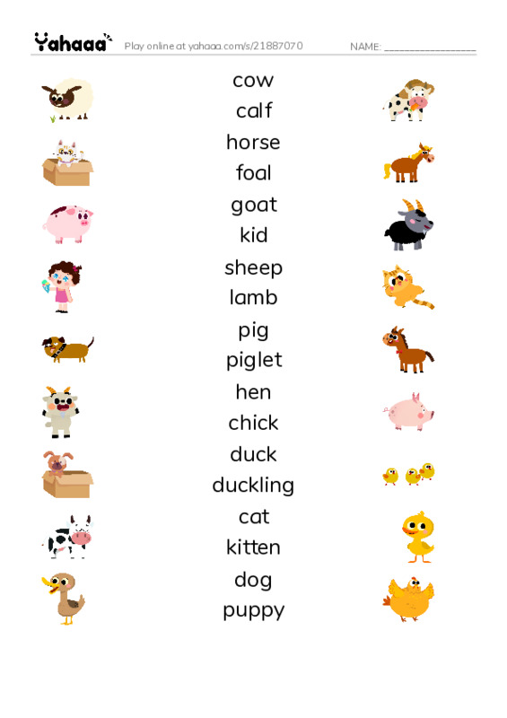 Match both sides worksheet for ANIMALS