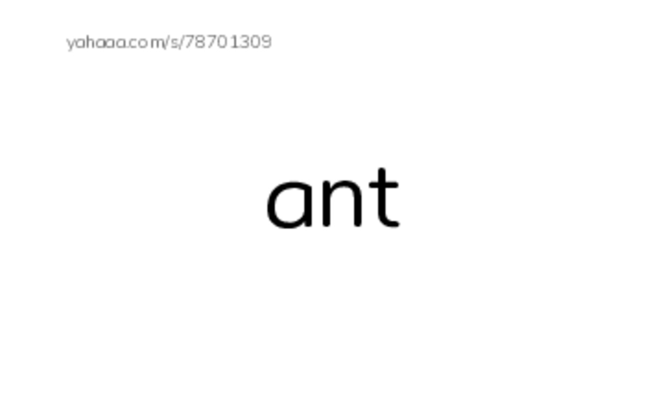 Index cards, words only worksheet for Unit 1-5 I learn 1