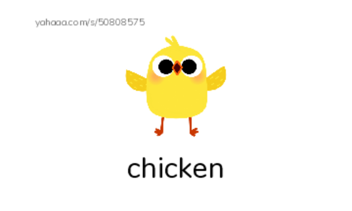 Index cards with pictures worksheet for Vocab unit 3