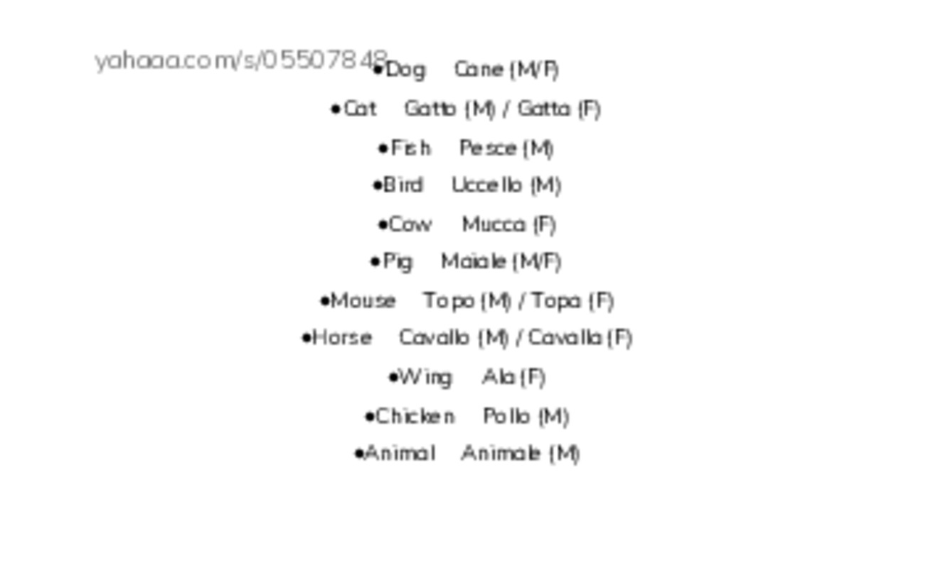 Index cards, words only worksheet for 625 Words Animals