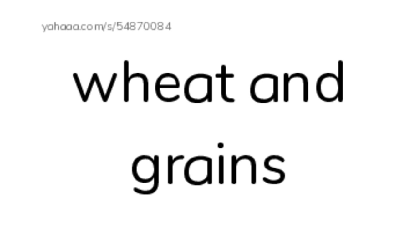Index cards, words only worksheet for Food Pyramid