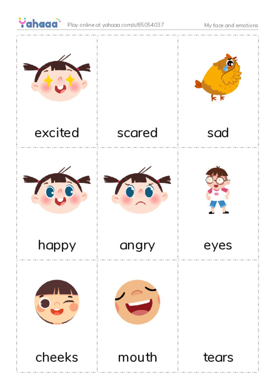 Picture flashcards worksheet for My face and emotions