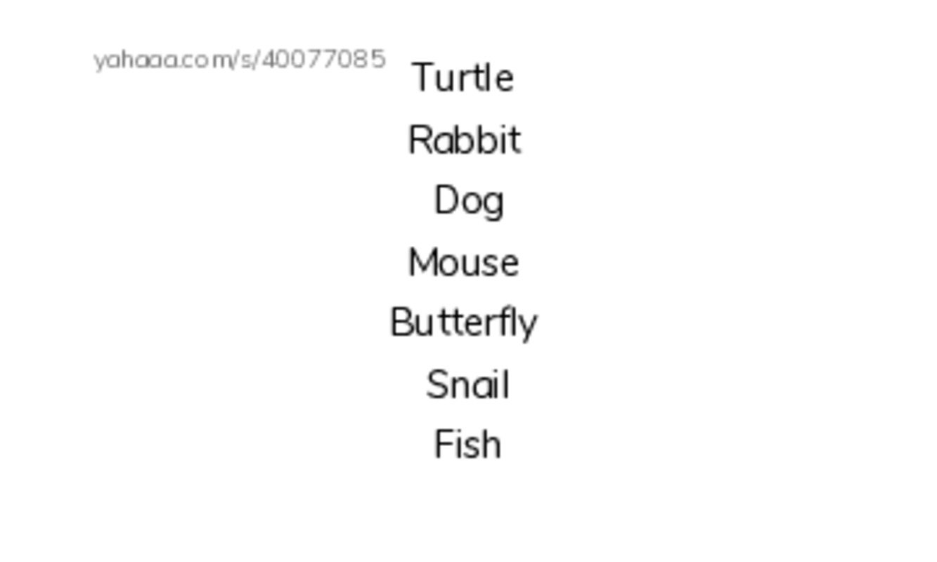 Index cards, words only worksheet for Animals