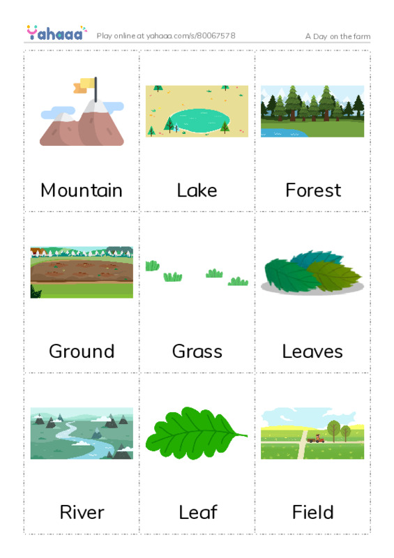 Picture flashcards worksheet for A Day on the farm