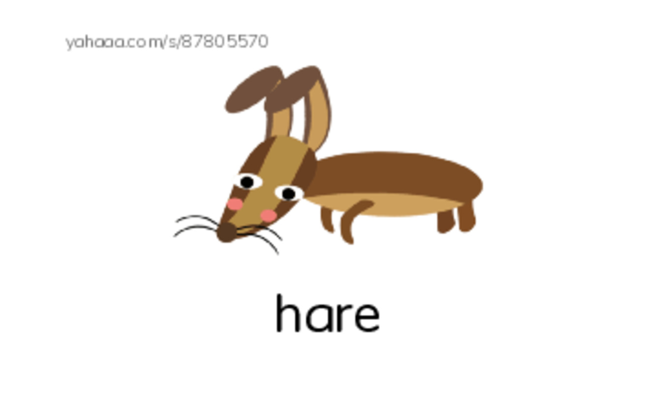 Index cards with pictures worksheet for hare, snowy owl, fox and 6 more