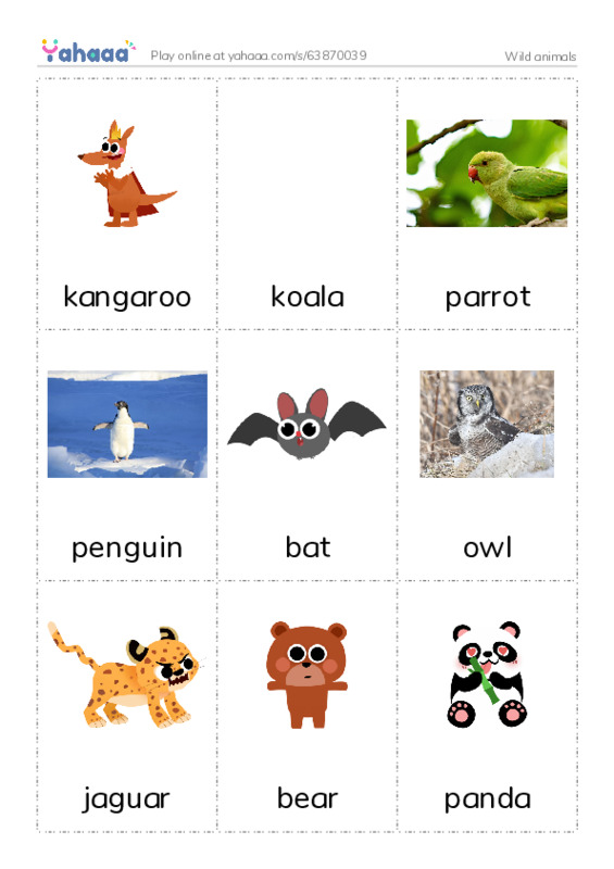 Picture flashcards worksheet for Wild animals