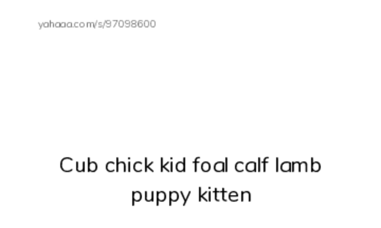 Index cards with pictures worksheet for Raz baby animal