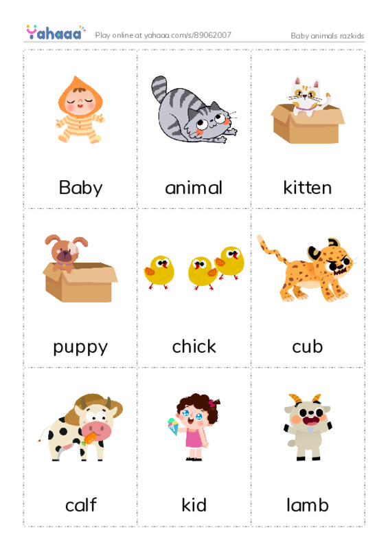 Picture flashcards worksheet for Baby animals razkids