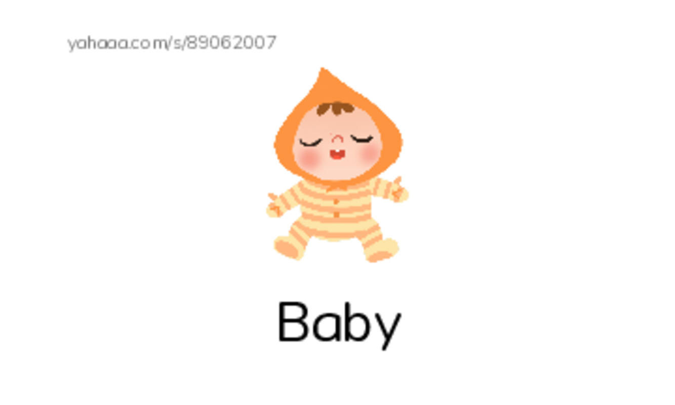 Index cards with pictures worksheet for Baby animals razkids