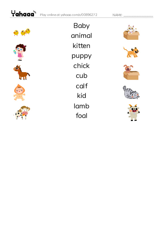 Match both sides worksheet for Baby animals razkids