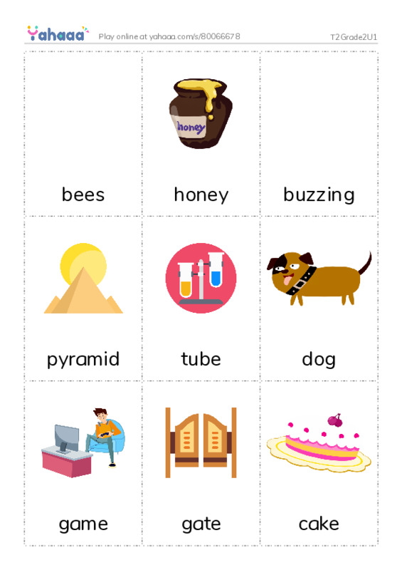 Picture flashcards worksheet for T2Grade2U1