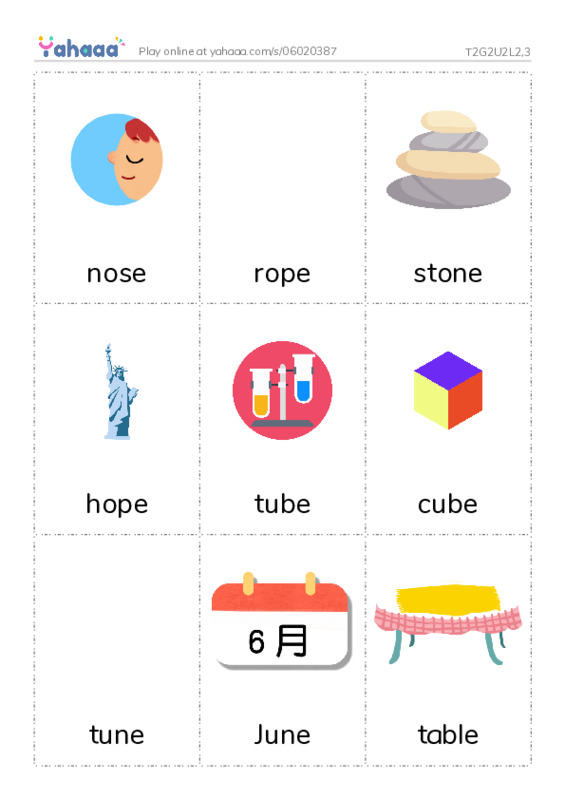 Picture flashcards worksheet for T2G2U2L2,3