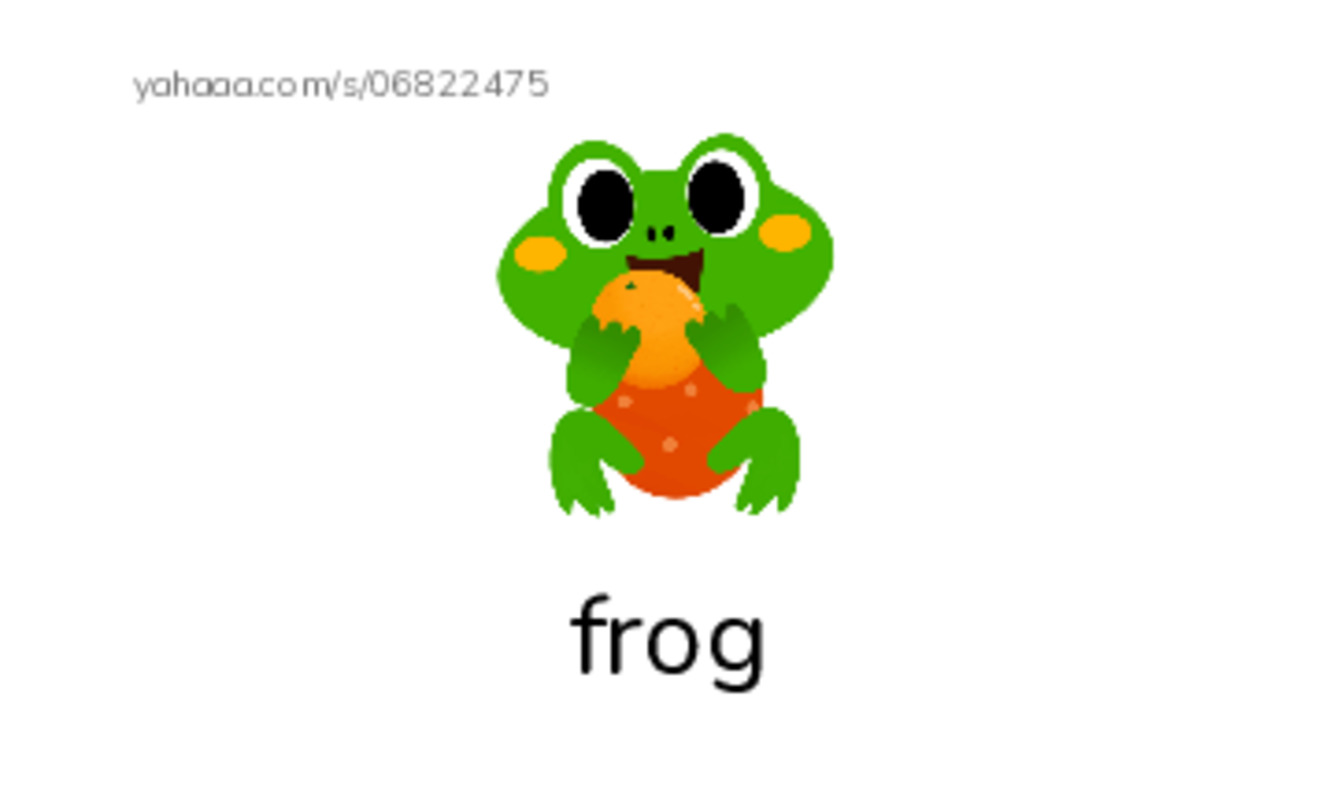 Index cards with pictures worksheet for fwords