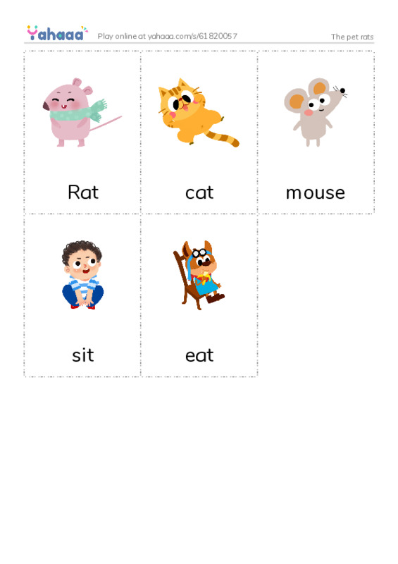 Picture flashcards worksheet for The pet rats