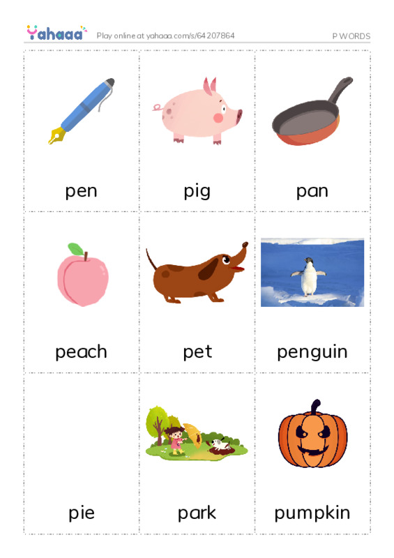 Picture flashcards worksheet for P WORDS