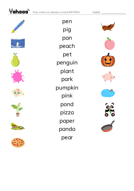 Match both sides worksheet for P WORDS