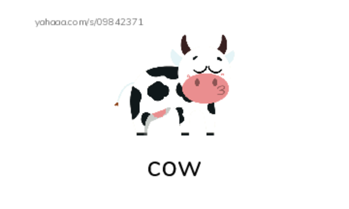Index cards with pictures worksheet for jump over