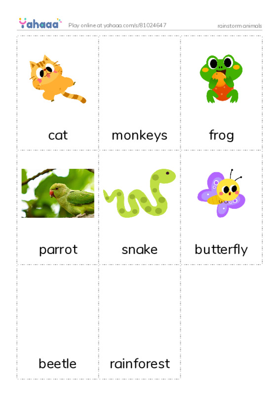 Picture flashcards worksheet for rainstorm animals