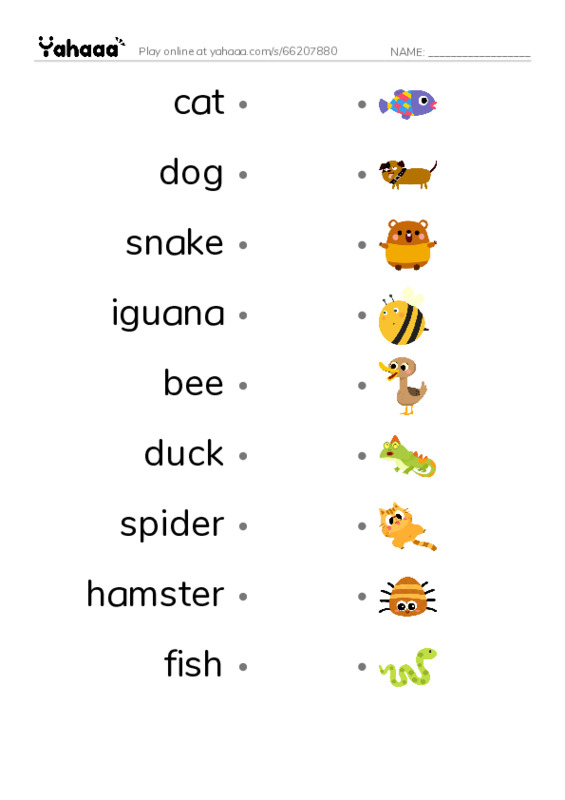 Draw a line to match worksheet for animal U4