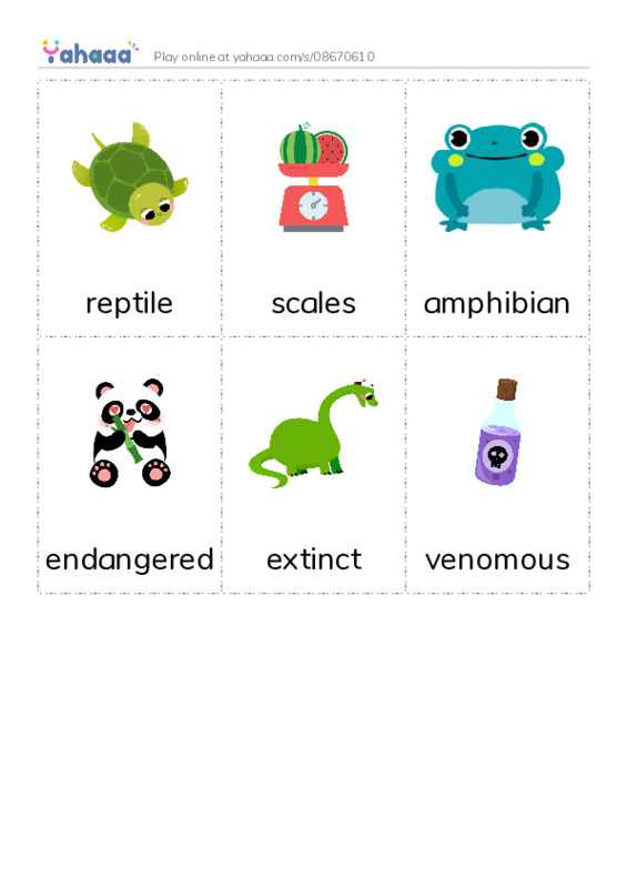 Picture flashcards worksheet for reptile, scales, amphibian and 3 more