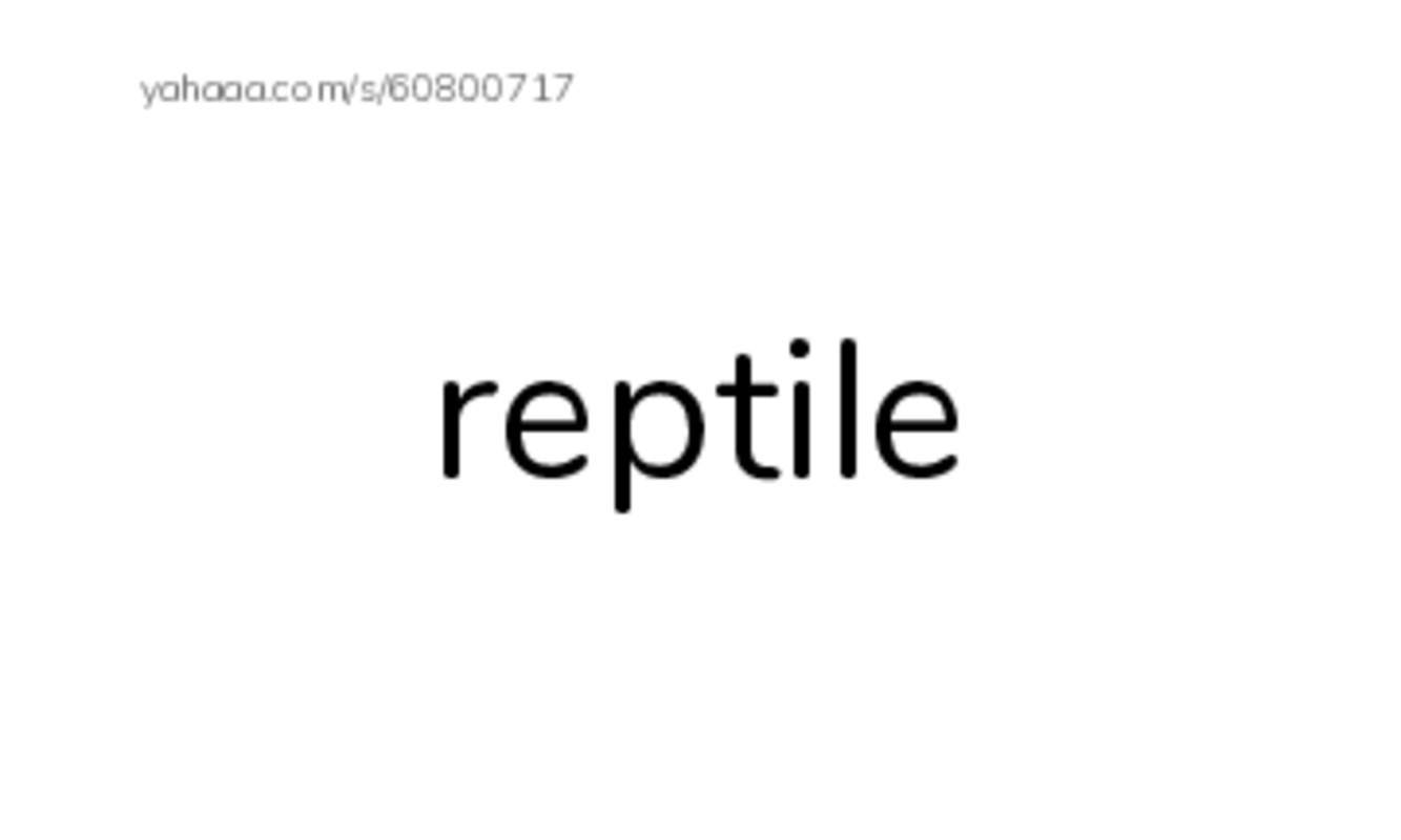 Index cards, words only worksheet for reptile, scales, amphibian and 3 more