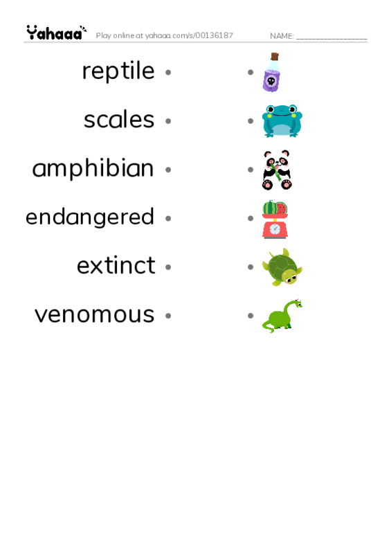 Draw a line to match worksheet for reptile, scales, amphibian and 3 more