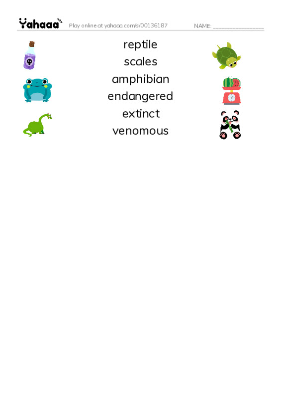 Match both sides worksheet for reptile, scales, amphibian and 3 more