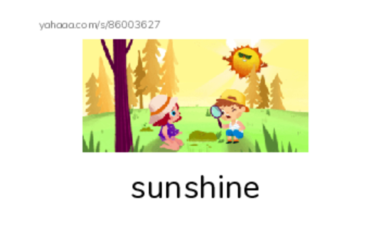 Index cards with pictures worksheet for summer