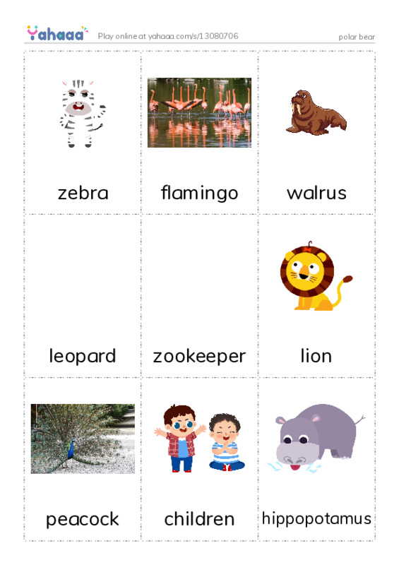 Picture flashcards worksheet for polar bear