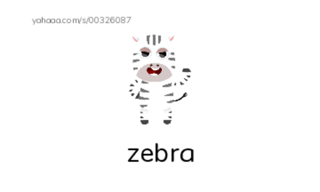 Index cards with pictures worksheet for polar bear