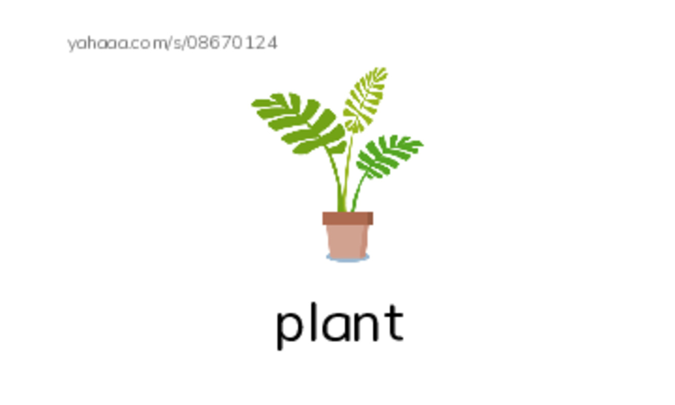 Index cards with pictures worksheet for plant, beach, sea and 4 more