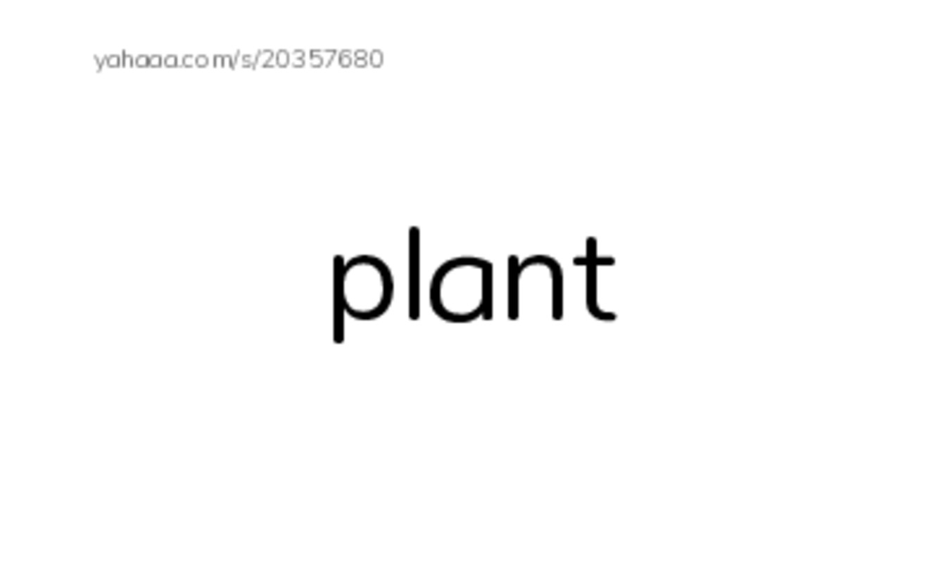 Index cards, words only worksheet for plant, beach, sea and 4 more