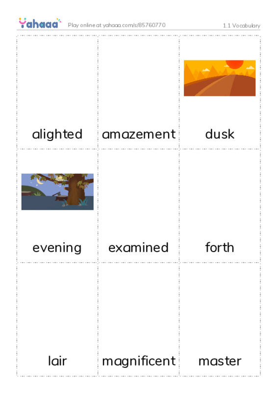Picture flashcards worksheet for 1.1 Vocabulary