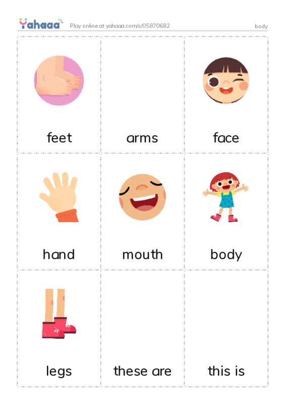 Picture flashcards worksheet for body