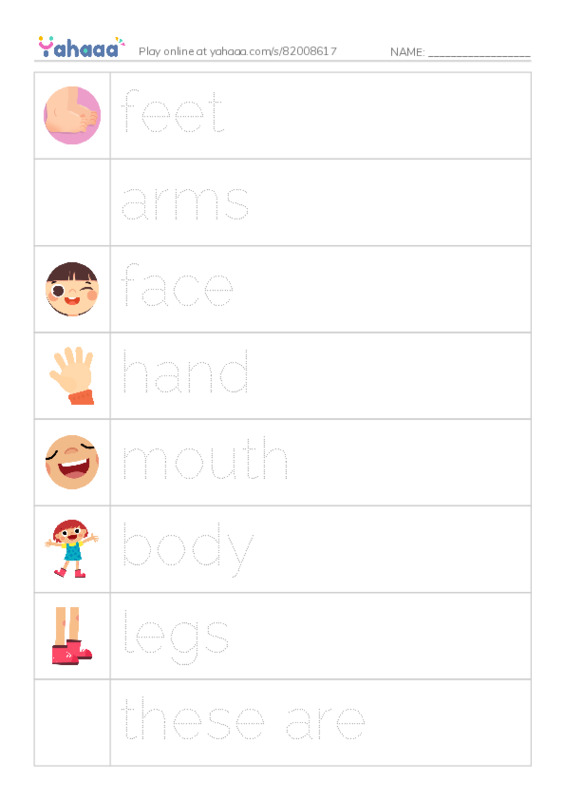 Picture and word rows worksheet for body