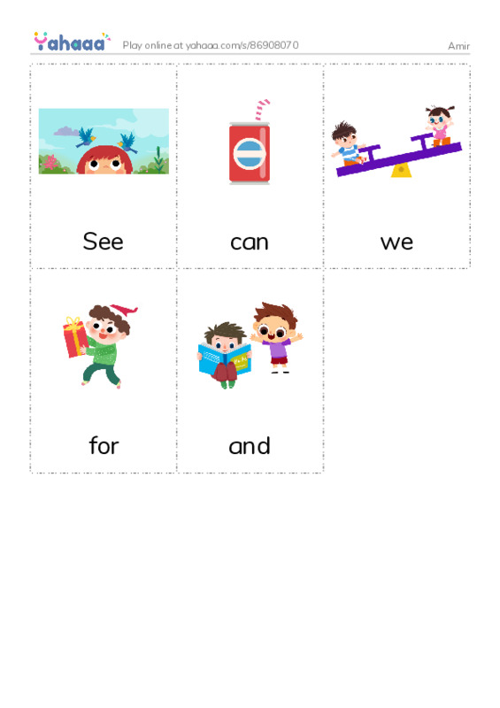 Picture flashcards worksheet for Amir
