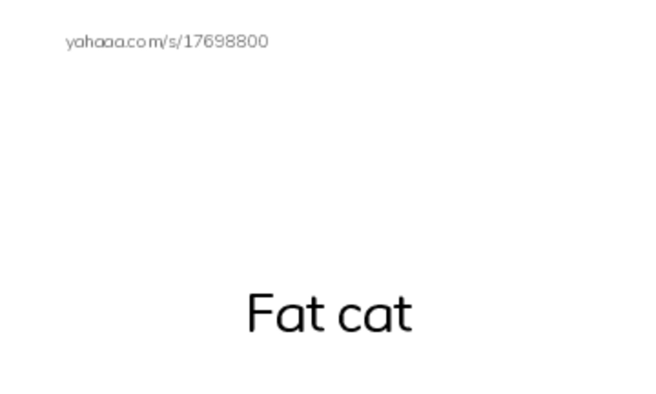 Index cards with pictures worksheet for Fat cat, thin cat, Fat and 11 more