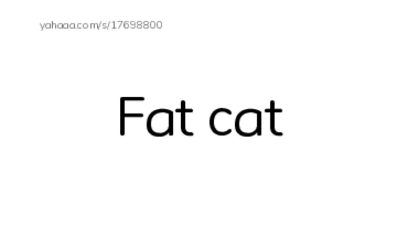 Index cards, words only worksheet for Fat cat, thin cat, Fat and 11 more