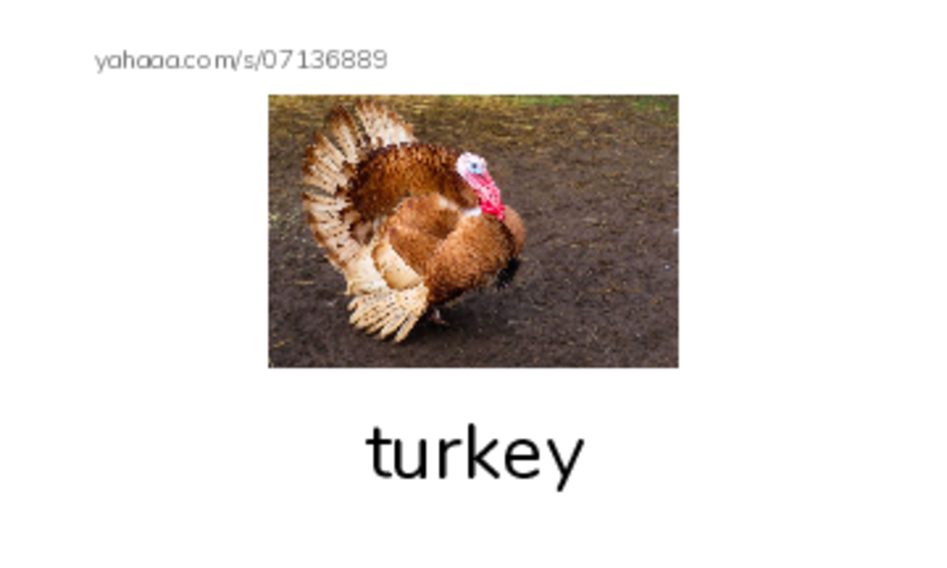 Index cards with pictures worksheet for smells like thanksgiving