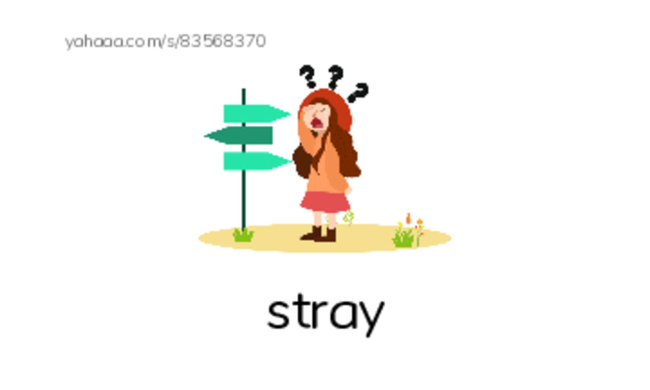 Index cards with pictures worksheet for stray, street, scrawny and 5 more