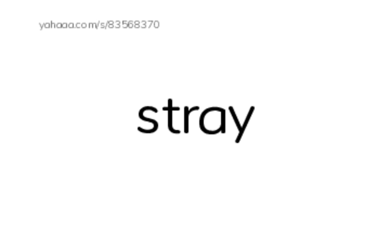 Index cards, words only worksheet for stray, street, scrawny and 5 more