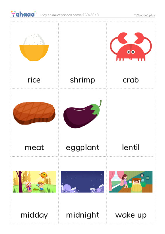 Picture flashcards worksheet for T2Grade1plus