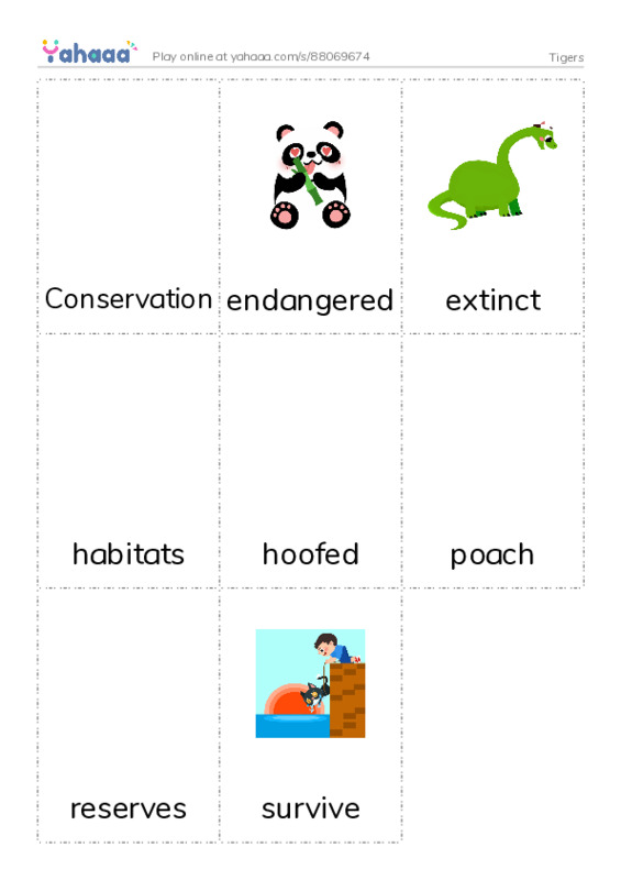 Picture flashcards worksheet for Tigers