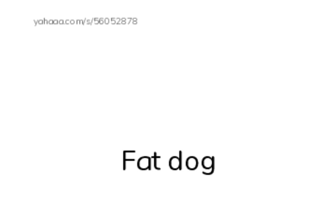 Index cards with pictures worksheet for Fat dog, thin dog, scrawny and 13 more