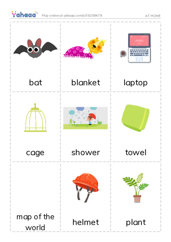 Picture flashcards worksheet for AT HOME
